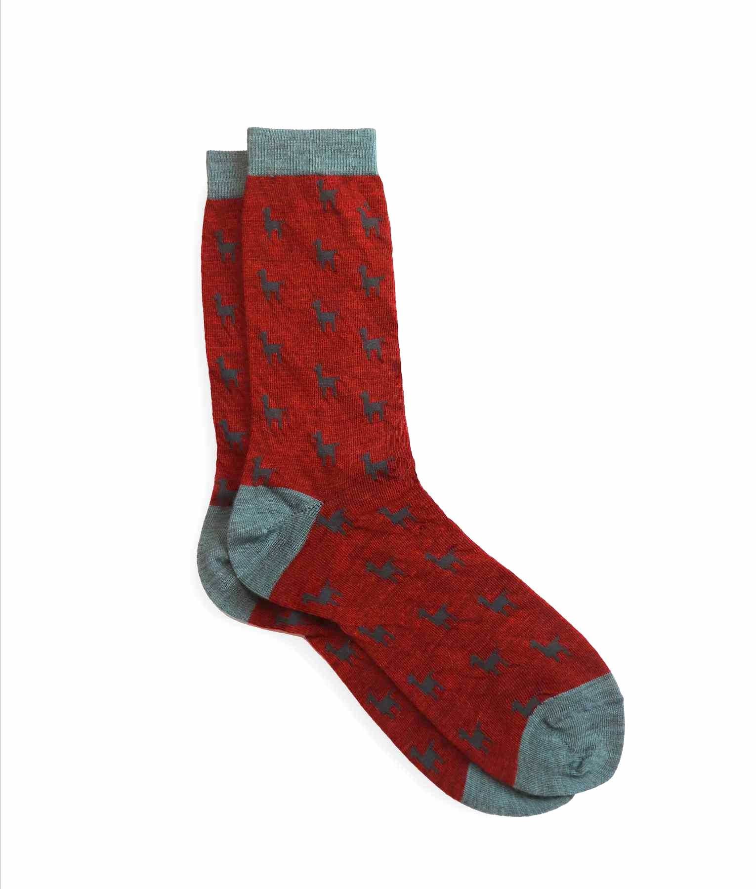 Llamas Caminantes Women Socks C004