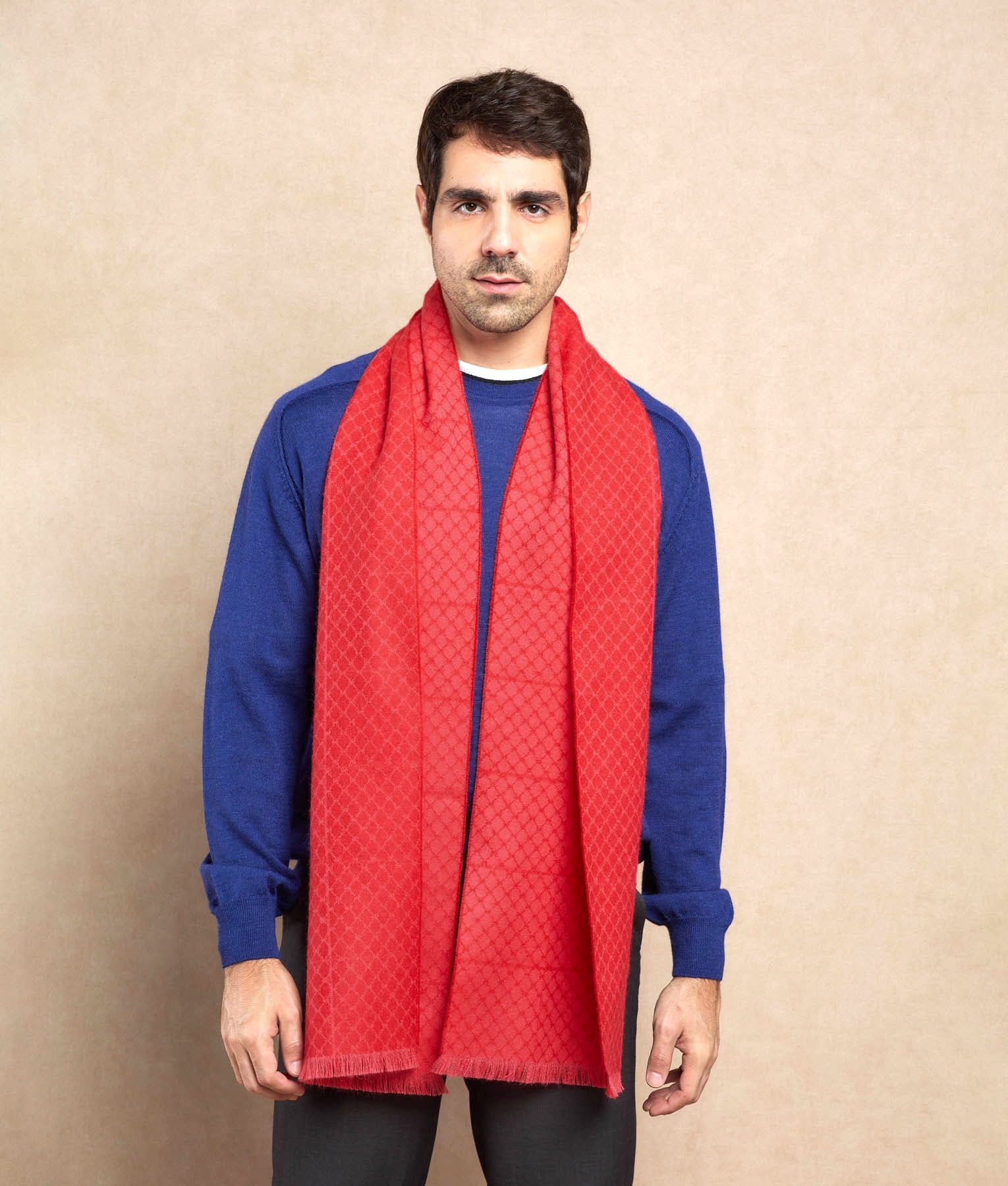 Fences Scarf C002